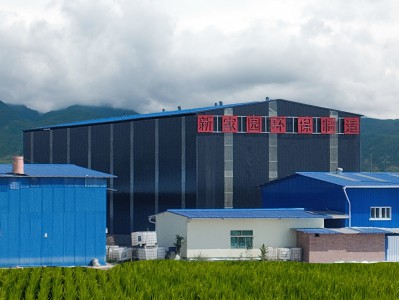 寶雞鑄造、涂料、制藥工業(yè)VOCs廢氣排放哪些細節(jié)值得注意！